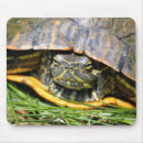 Suche nach schildkröte muschel mousepads Reptil