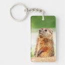Recherche de marmottes porteclés Faune