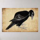 Recherche de croquis vintage posters Oiseau