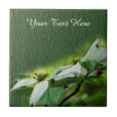 Suche nach weißes holz fliesen Blume