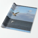 Suche nach flug geschenkpapier Himmel