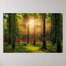 Recherche de arbre plante posters Arbres