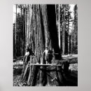 Suche nach giant poster Rotholzwald