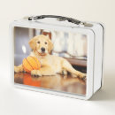 Suche nach golden retriever brotdose brotdosen Tier