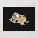 Suche nach nagetiere postkarten Hamster