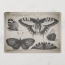 Suche nach vintage illustrations einladungen Natur