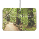 Recherche de bois voiture accessoires Arbres