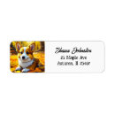 Recherche de corgi étiquettes adresse retour Animaux