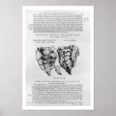 Recherche de vertébré posters Anatomie
