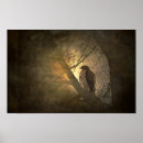Suche nach falken poster Baum