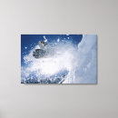 Suche nach snowbird poster Urlaub