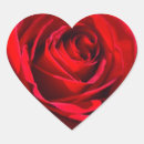 Suche nach tiefrote rose Für sie