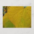 Suche nach herbst blätter postkarten Fotografie