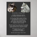 Recherche de deux loups posters Two wolf