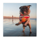 Suche nach mops fliesen Hund