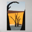 Suche nach sossusvlei poster Wüste