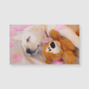 Suche nach schläfriger hund karten Niedlich