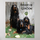 Suche nach keltische hunde poster Tier