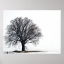 Recherche de chêne posters Hiver