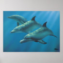 Recherche de peinture de dauphin posters Océan