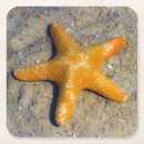 Recherche de sable dessous de verres Été