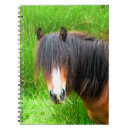 Suche nach ponys kleine notizbücher Niedlich
