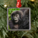 Suche nach gorilla ornamente Tier