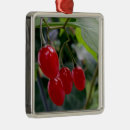 Recherche de taches ornements Rouge