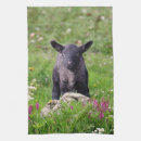 Suche nach sheep geschirr tücher Baby