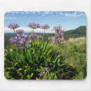 Suche nach agapanthus mousepads Afrikanische lilie