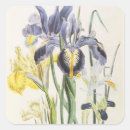 Suche nach iris blumen aufkleber Van gogh