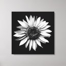 Recherche de copie de mur photographie Fleurs