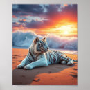 Recherche de tigres blancs posters Tigre blanc