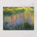 Suche nach sümpfe postkarten Reflexion