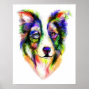 Suche nach border collie poster Herden