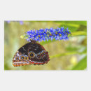 Recherche de morphos autocollants Insecte