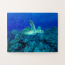 Suche nach schwimmen im wasser puzzle Ozean