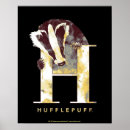 Suche nach hufflepuff dachs poster Zauberer