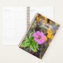 Suche nach zinnia Orange