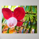 Recherche de bananiers posters Vert