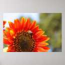 Suche nach bienen liebe poster Blume