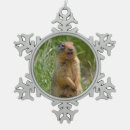 Suche nach fell ornamente Niedlich