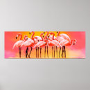 Suche nach flamingos poster Vögel