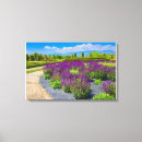 Suche nach salbei leinwandbilder Blume