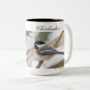 Recherche de deux oiseaux tasses Pour tous