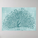 Recherche de vintage paon posters Aqua