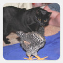 Suche nach junges huhn aufkleber Niedlich