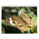 Recherche de de papillon calendriers Nature