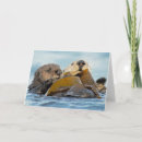 Suche nach meeressäugetier karten Seeotter