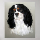 Suche nach kavalier poster Spaniel